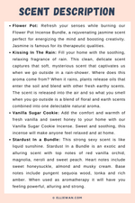 MIXED INCENSE BUNDLE