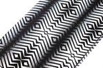 WB STATIC GEOMETRY PRINT