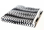 WB STATIC GEOMETRY PRINT